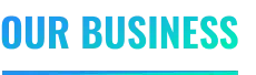OUR BUSINESS